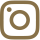 Social Instagram gold icon