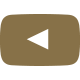 social youtube gold icon